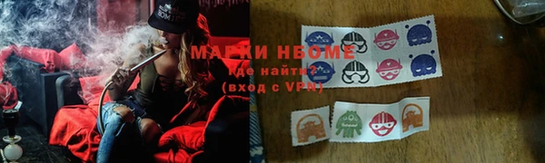 индика Костерёво