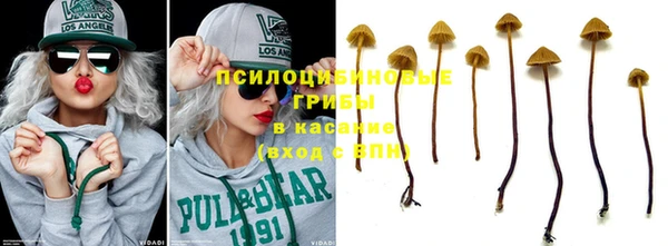прущие крисы Киренск