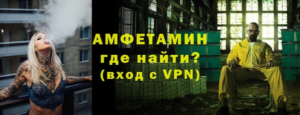 индика Костерёво