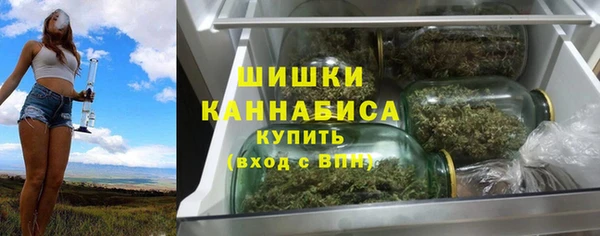 прущие крисы Киренск